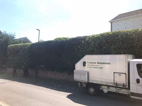 Central Woodside Tree Services Coventry 02476 692597