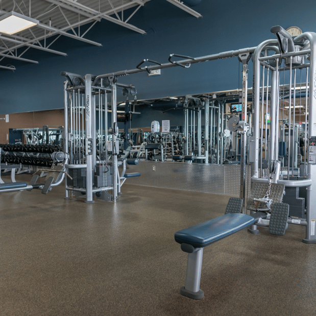 Images The Workout Club of Manchester
