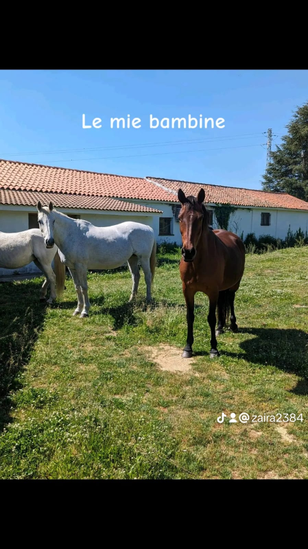 Agriturismo Su Furreddu