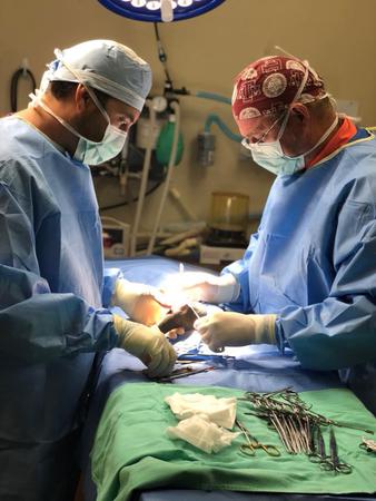 Images Bay City Veterinary Clinic & Equine Hospital