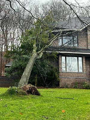 Images Four Corners Roofing & Restoration