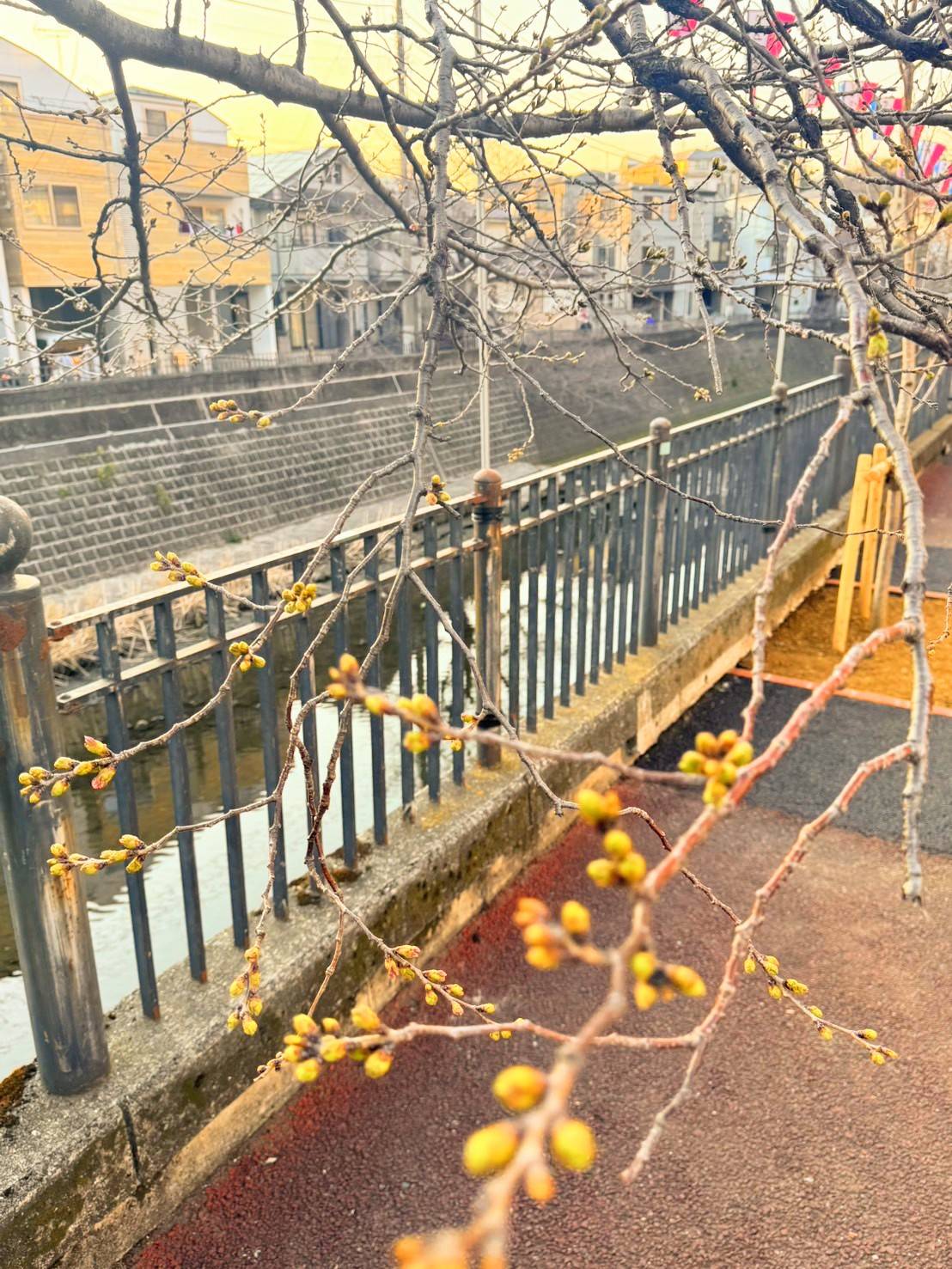 Images 横浜の大衆焼肉 弘明寺駅前店