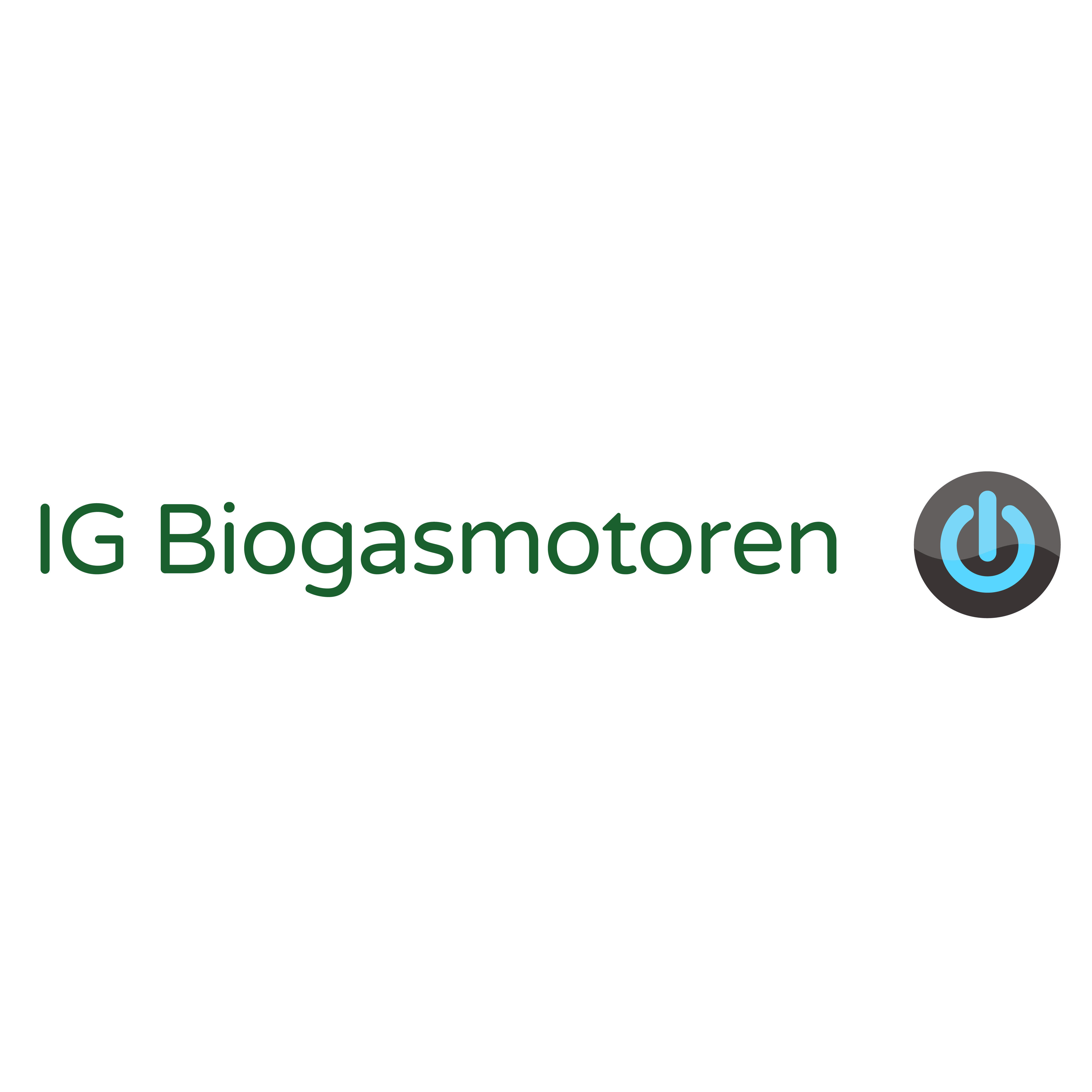 Logo IG Biogasmotoren e.V.