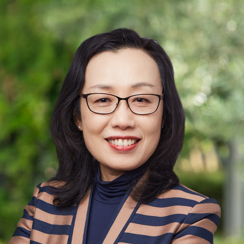 Dr Dongmei Yue