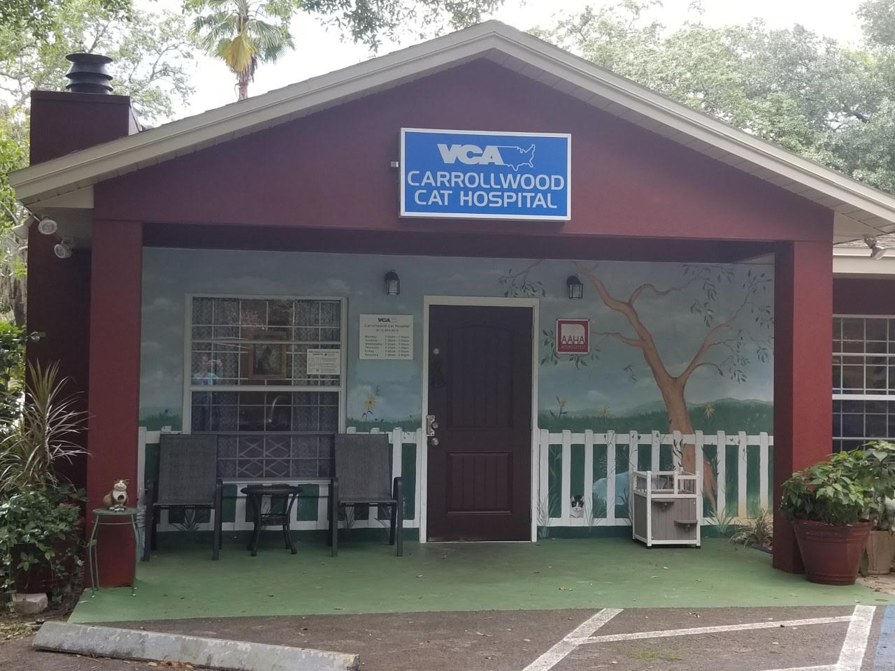 Welcome to VCA Carrollwood Cat Hospital!