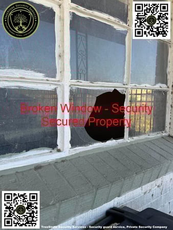Images TreeStone Security Services
