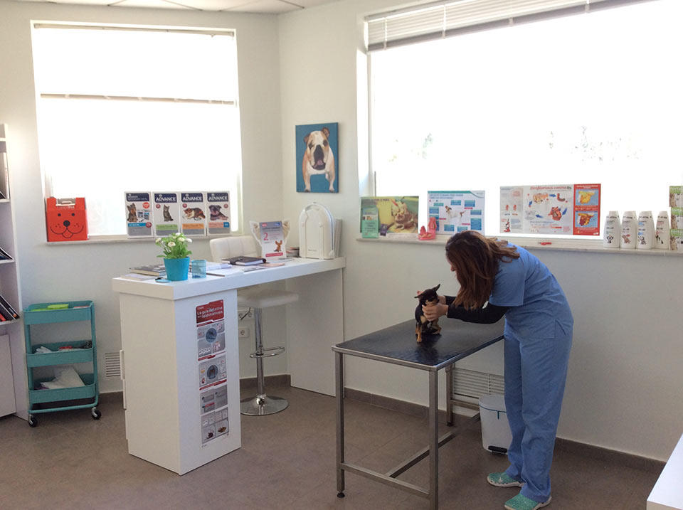 Images Veterinaria La Ribera