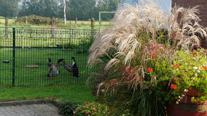 Bilder Pension Leitingshof - Lucia Büning