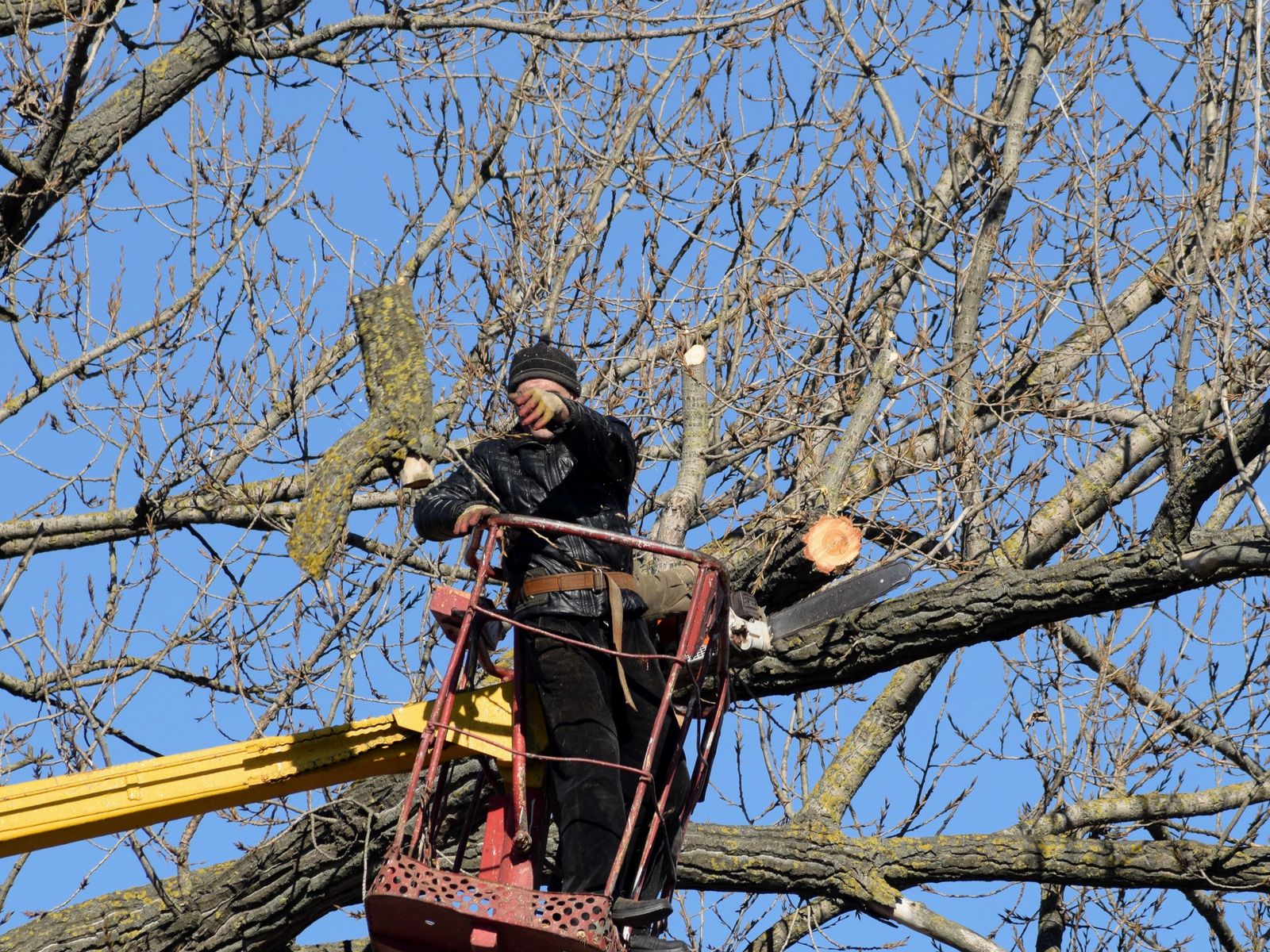 Garden of Eden Landscaping LLC