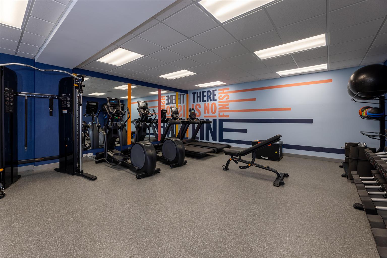 Health club  fitness center  gym
