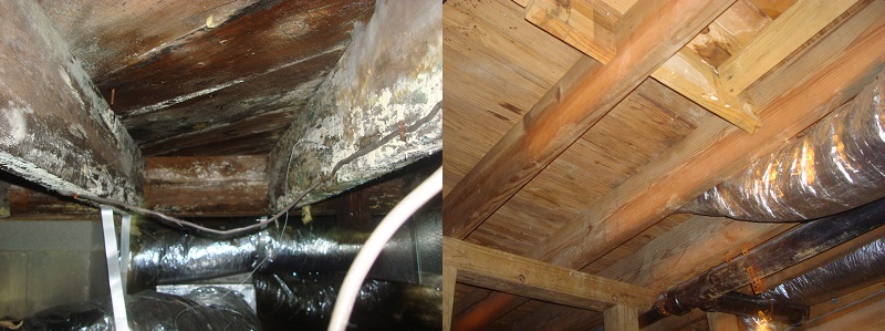 Before & After Mold Remediation 1-800 Water Damage of WNC Asheville (828)398-4027