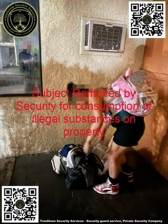 Images TreeStone Security Services