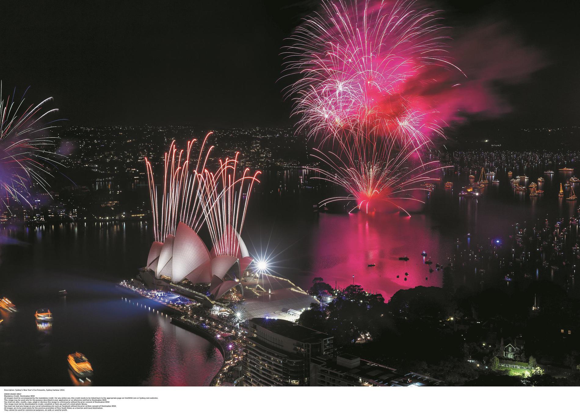 Images Cruise Planners - Joey Stotsky