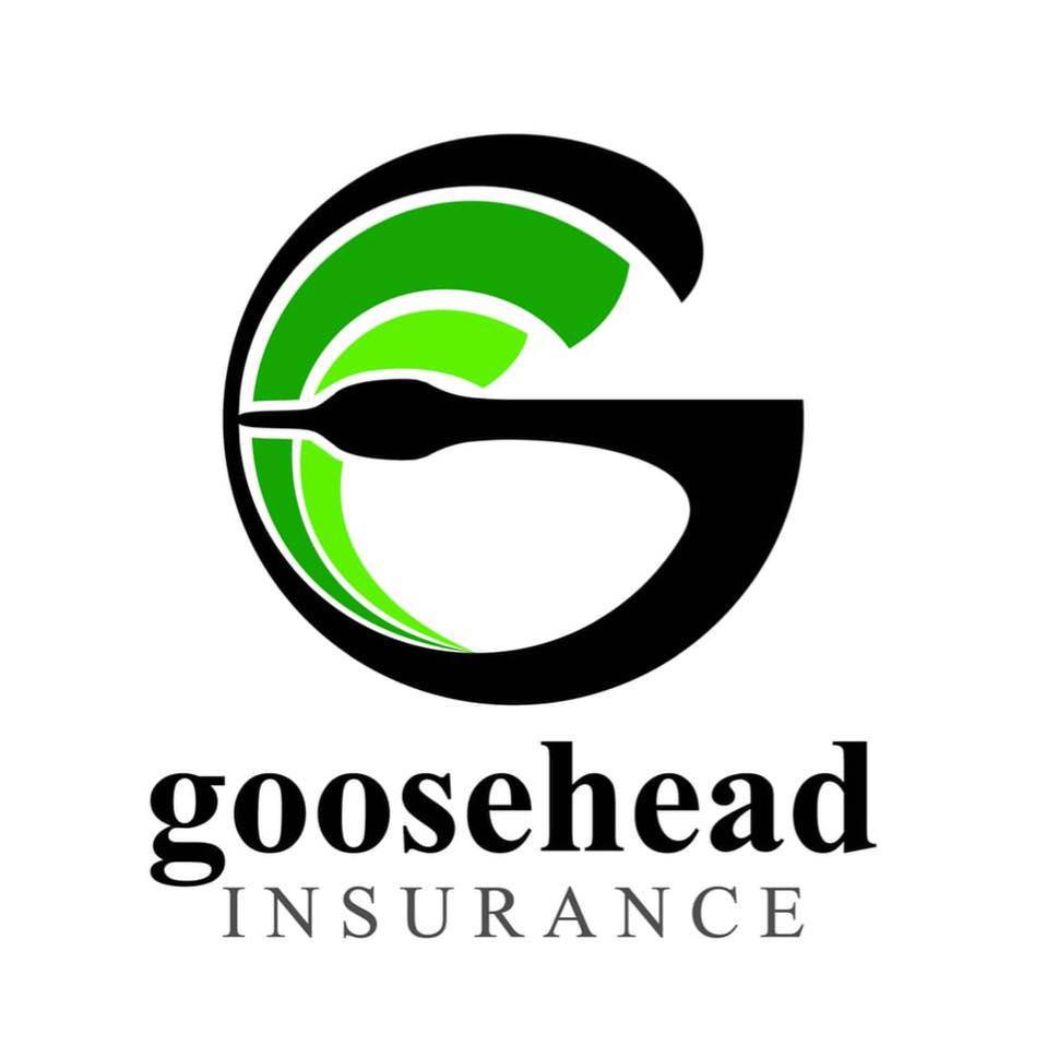 Goosehead Insurance Logo Laurie and Michael Bish - Bish Insurance Agency Chicago (847)430-4829