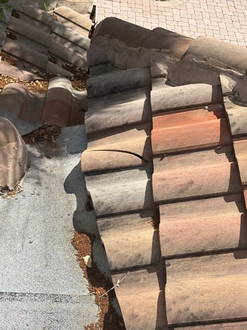 Images Red Pros Roofing, Inc