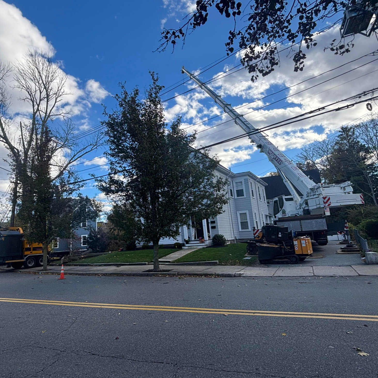 Martel Crane Service & Tree Removal Image
