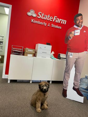 Images Kim Stokes - State Farm Insurance Agent