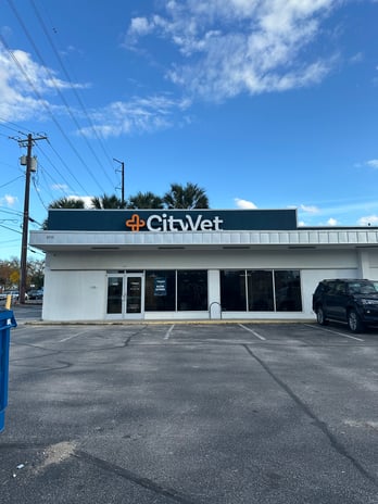 Images CityVet | Central Austin