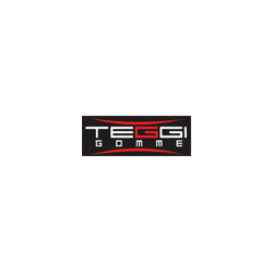 Teggi Gomme Logo