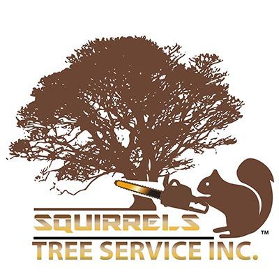 Squirrels Tree Service Inc Logo