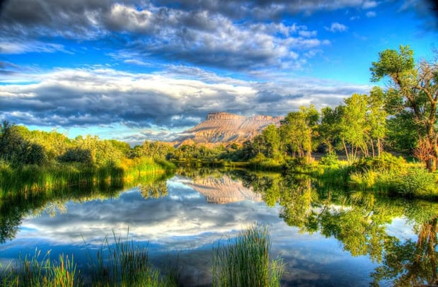 Images Dufford Waldeck