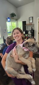Images VCA Peone Pines Animal Hospital