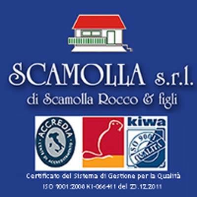 Images Scamolla