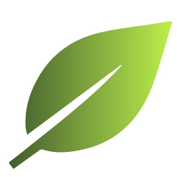 Dry Ice Finland Logo