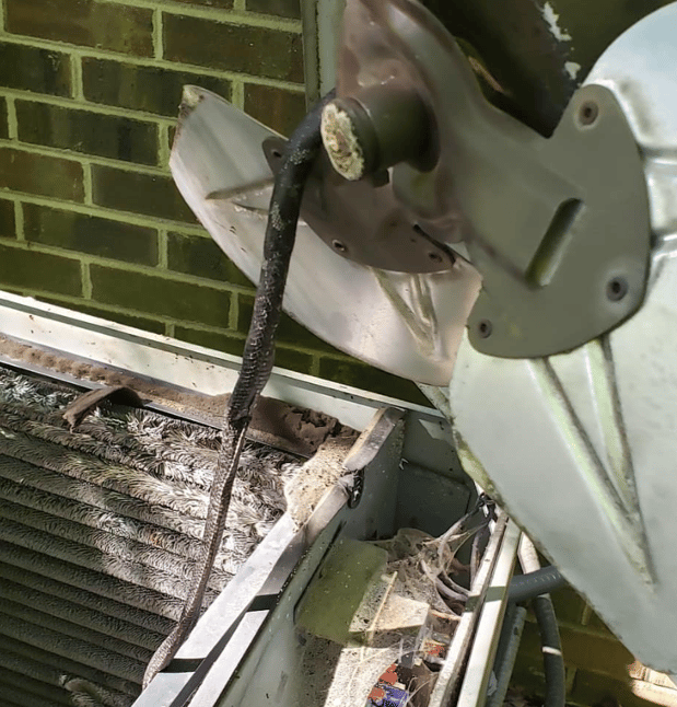 Images Repair Solutions