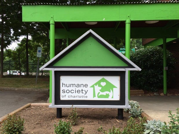 Images The Humane Society of Charlotte