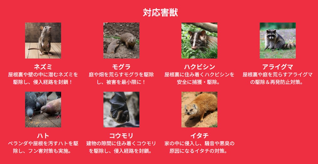 Images 関東駆除センター