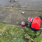 Images Alexa's Tree Service