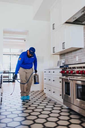Images ACTION Termite & Pest Control
