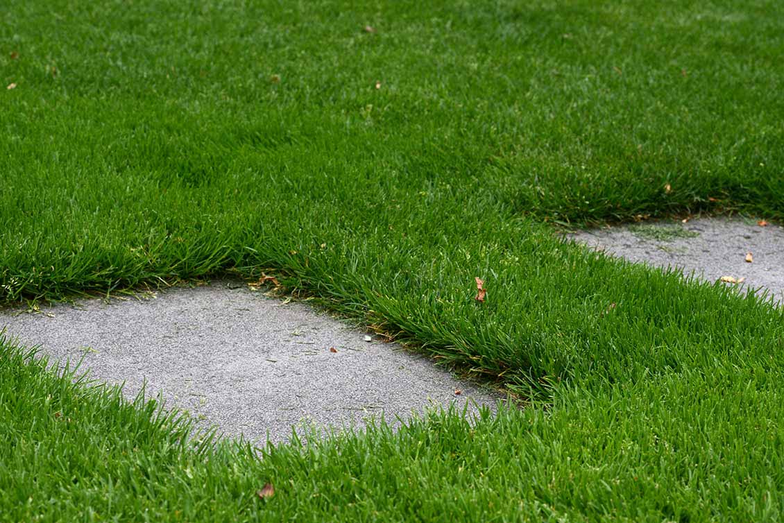 Bilder Gartengestaltung Andreas Jakob GmbH