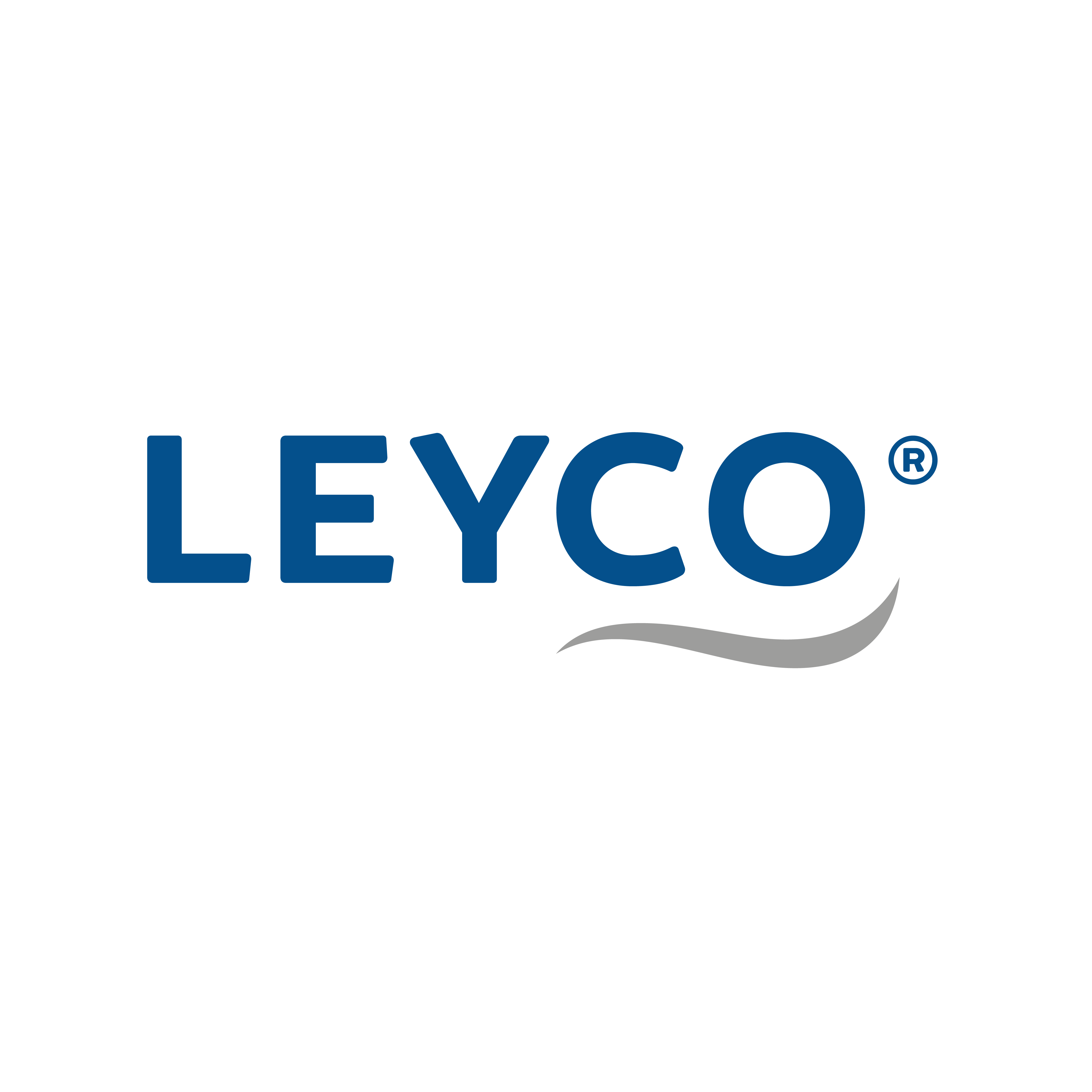 Logo LEYCO Wassertechnik GmbH