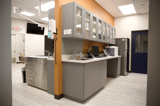 Images VetExpress Animal Urgent Care