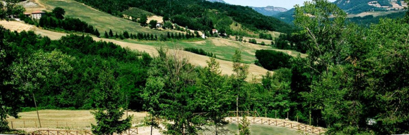 Images Residenza per anziani Tre Laghetti