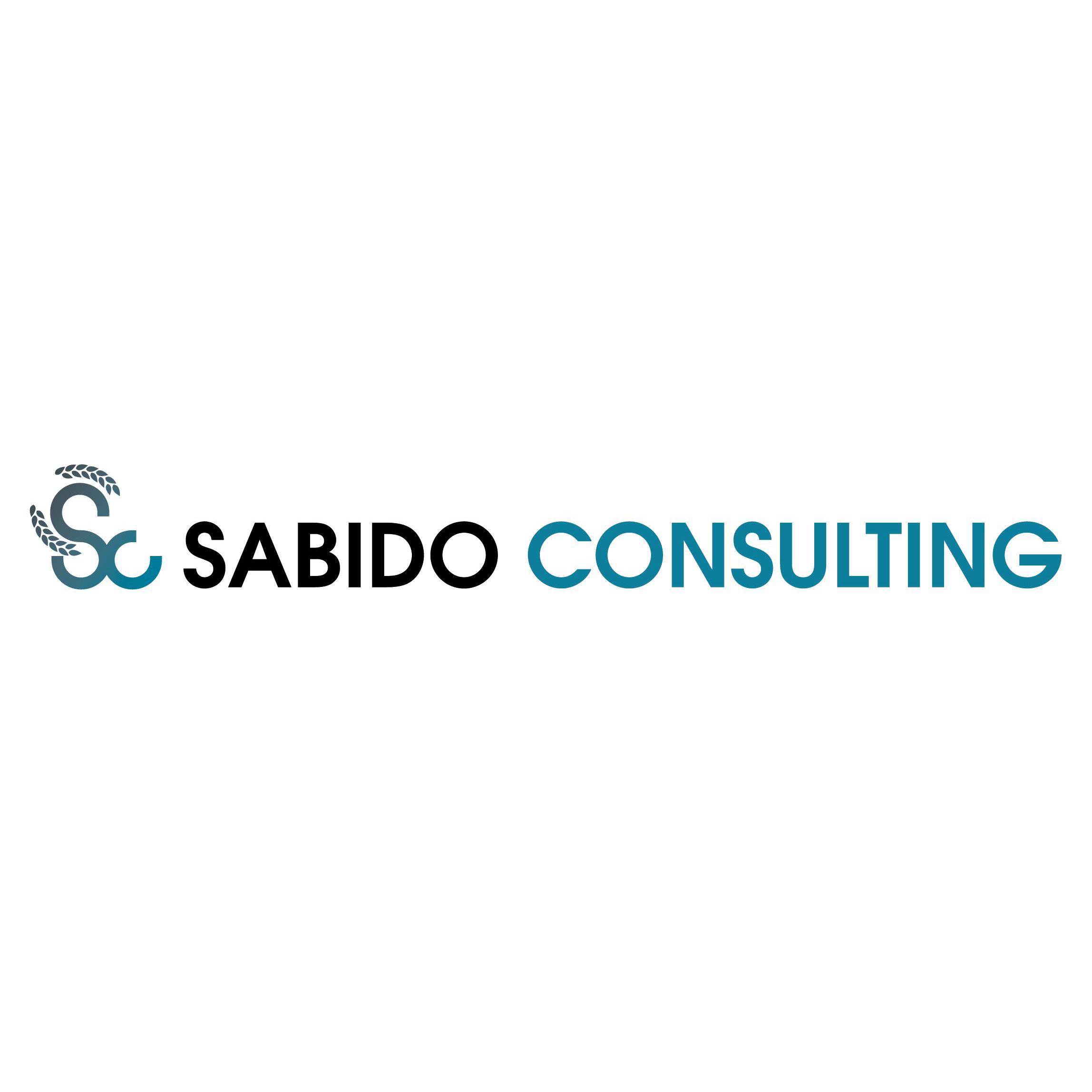 Sabido Consulting Logo