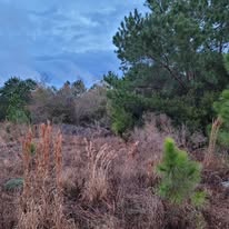 Images J & M Forestry and Mulching LLC