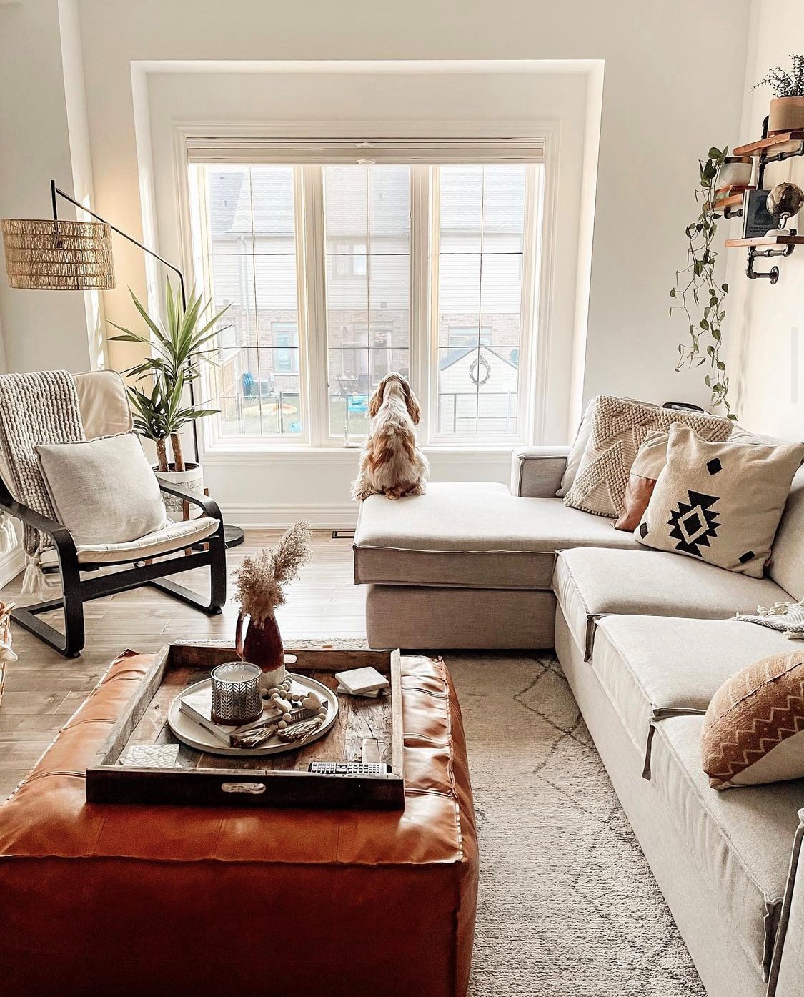 Cordless rollershades and blinds are pet friendly! The team of Budget Blinds of Rockwall, Forney, Terrell, and Greenville love all pets amd want to give them the best views.