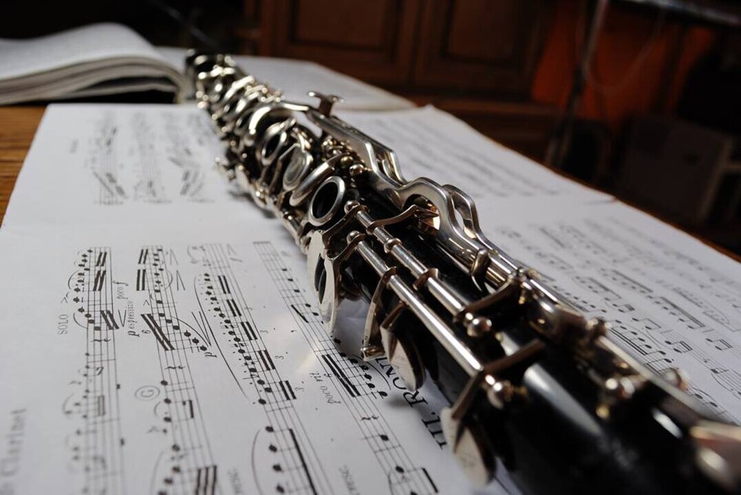 Klarinette lernen, Vossens Tannen 65 in Schwerin