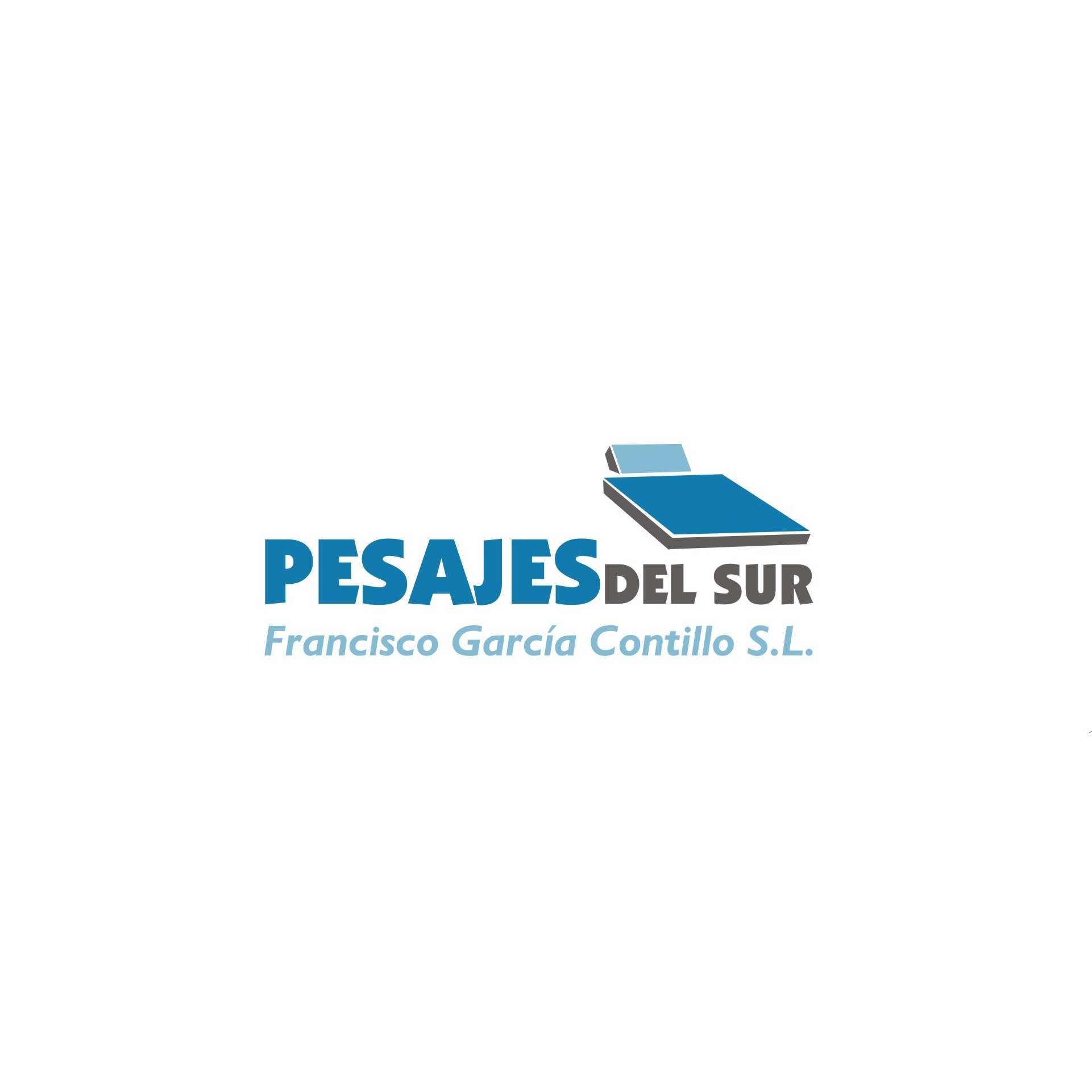 Pesajes Del Sur Logo
