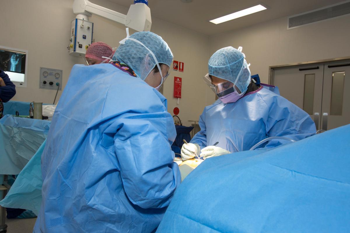Images Ozorthopaedics - Dr. Ikram Nizam Hip and Knee Surgeon Melbourne