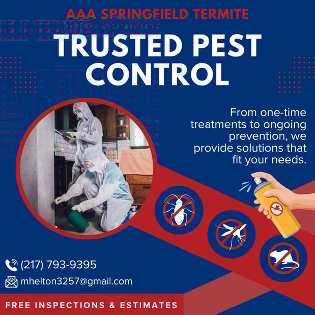 Images AAA Springfield Termite