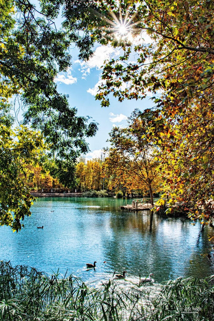 Images CASA Y CABAÑA DEL LAGO