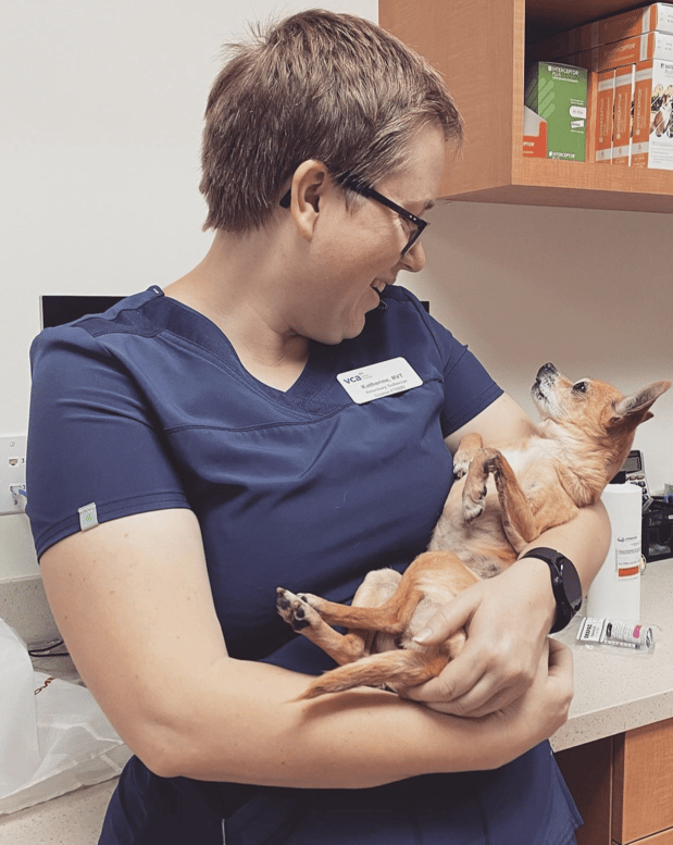 Images VCA Laguna Niguel Animal Hospital