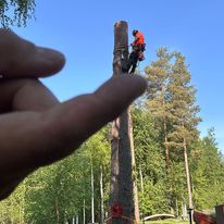 Images Varkauden arboristi- ja viherpalvelut Oy
