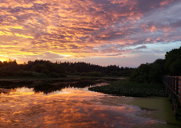 Calm lake at sunset with orange and yellow clouds.
