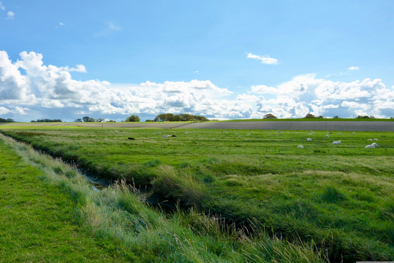 Physio Team Rensmann, Antoniusstr. 10 in Lingen (Ems)