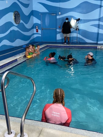 Images Watermelon Swim - Wesley Chapel